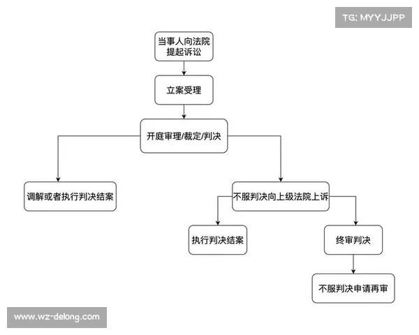 探索格斗赛事全程流程筹备搏击对决裁判裁决胜利庆典完整指南